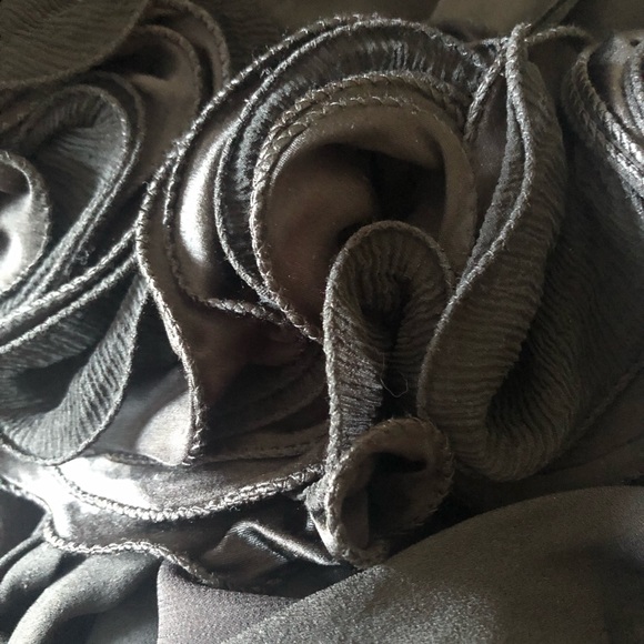 EUC Ann Taylor Ruffled Silk Sleeveless Tunic Top M - Picture 5 of 5